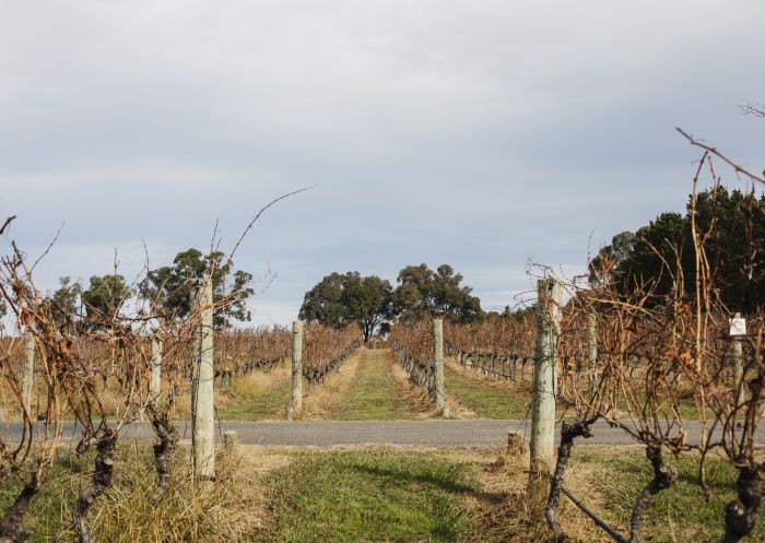 Four Winds Vineyard in Murrumbateman